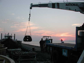 Reef balls were transported by crane to the Choptank River with the help of the Oyster Recovery Partnership